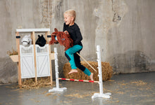 Load image into Gallery viewer, Steckenpferd Springstange