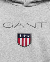 Load image into Gallery viewer, Retro Shield Hoodie - grau