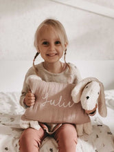 Lade das Bild in den Galerie-Viewer, Kuschelhund - New Dusty Rosa mit Stick