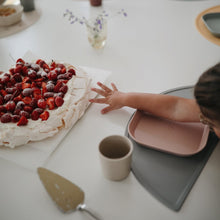 Load image into Gallery viewer, Teller - Blush