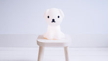 Lade das Bild in den Galerie-Viewer, Snuffy First Light
