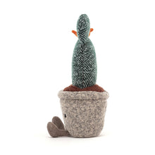 Lade das Bild in den Galerie-Viewer, Silly Succulent Prickly Pear Cactus
