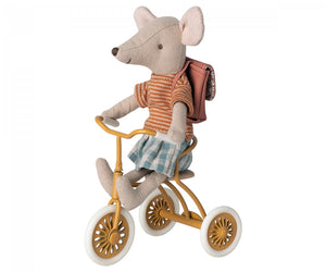 Abri à tricycle Maus - Ocker