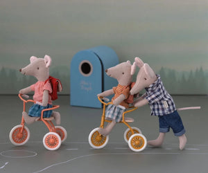 Abri à tricycle Maus - Ocker