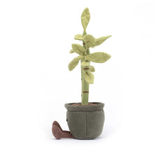 Lade das Bild in den Galerie-Viewer, Amusable Potted Bamboo
