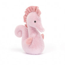 Load image into Gallery viewer, Sienna Seahorse
