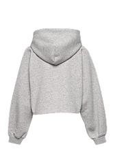 Load image into Gallery viewer, GANT D1 Retro Shield Hoodie
