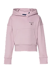 Load image into Gallery viewer, GANT D2. Contrast Shield Hoodie
