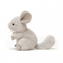 Lade das Bild in den Galerie-Viewer, Cheeky Chinchilla
